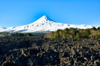 Llaima Vulcano from a Lava Field near by Patagonia Chile. High quality photo clipart