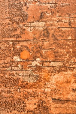 rough Brown concrete wall with iron steel background . High quality photo clipart