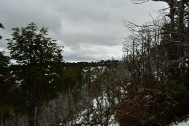 Puyehue winter ascent wet snow clouds forest ski adventure. High quality photo clipart