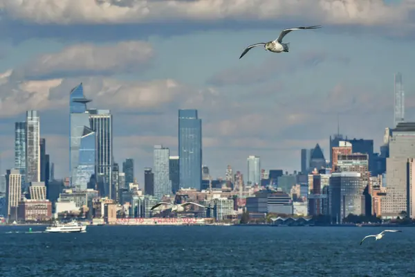 New York, Manhattan Martı Körfezi Panorama Seyahati. Yüksek kalite fotoğraf