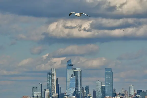 New York, Manhattan Martı Körfezi Panorama Seyahati. Yüksek kalite fotoğraf