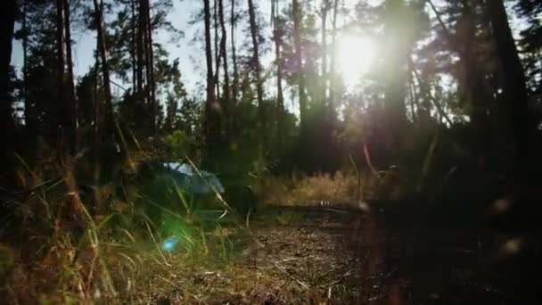 汽车在乡间路上开着车 一对年轻夫妇乘汽车在树林里兜风 优质Fullhd影片 — 图库视频影像