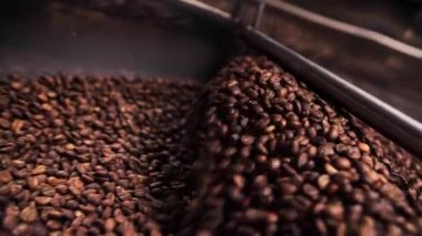 Kahve makinası aroma fasulyelerini karıştırıyor. Depoda taze aroma kafeini üretiyor. Yakın plan kahve hazırlıyor. Yüksek kalite 4k görüntü