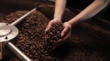 Kadın kahve çekirdeklerini koklayıp kızartma makinesinin kalitesini kontrol ediyor. Kahve fabrikasında çalışan bir kız. Alışveriş merkezinde çalışan bir kız. Yüksek kalite 4k görüntü