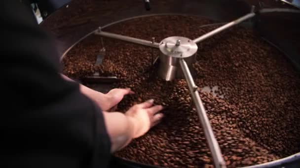 女人闻到咖啡豆的味道并检查烘焙机的质量 女孩在咖啡店工作 小企业 咖啡机搅拌咖啡豆 高质量的4K镜头 — 图库视频影像