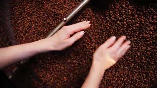 Vrouw Ruiken Koffiebonen Controleer Kwaliteit Van Roosteren Machines Girl Werken — Stockvideo