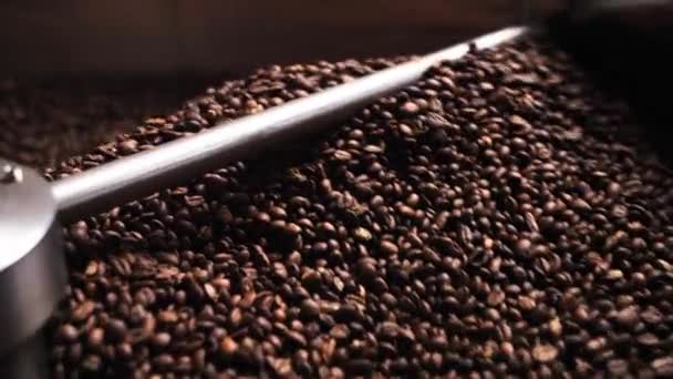 咖啡烘焙机混合香味甜豆 在生产厂家准备新鲜香味咖啡因 在大烘焙咖啡豆中准备好咖啡 高质量的4K镜头 — 图库视频影像