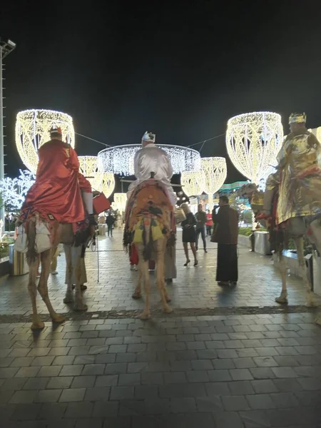 Resimli manzarada develer var.