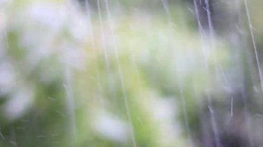 Yeşil arkaplanlı güzel yağış pencereye yansıdı