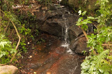 Mini water fall found during travel to Kodaikanal, Tamil nadu clipart