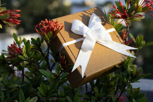 Kahverengi renkli, beyaz fiyonklu hediye kutusu parktaki bir çiçek bitkisine yerleştirilmişti.