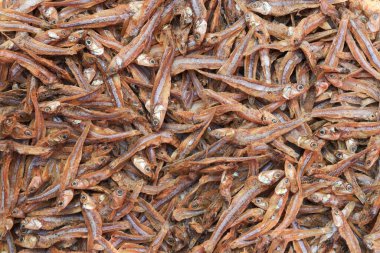 Yakın çekim ya da çiğ ançüezli kuru balık makro çekimi.