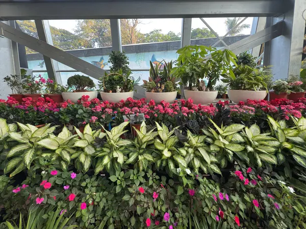 Parkın içinde çok renkli bitki ve çiçeklerin olduğu bir manzara.