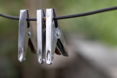 Demir çizgide yeşil sırtlı 3 paslanmaz çelik toka.