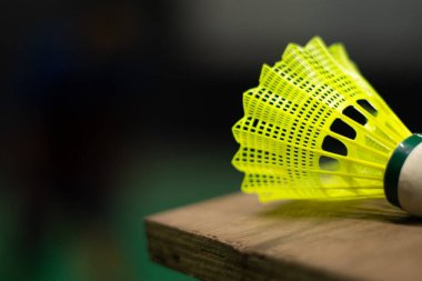 İzole edilmiş yeşil mekik horozu yakın plan çekimi. Ormanda çekiliyor.