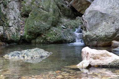 Moola Kona Şelaleleri Tamil Nadu ve Andra Pradesh bo 'da yer almaktadır.