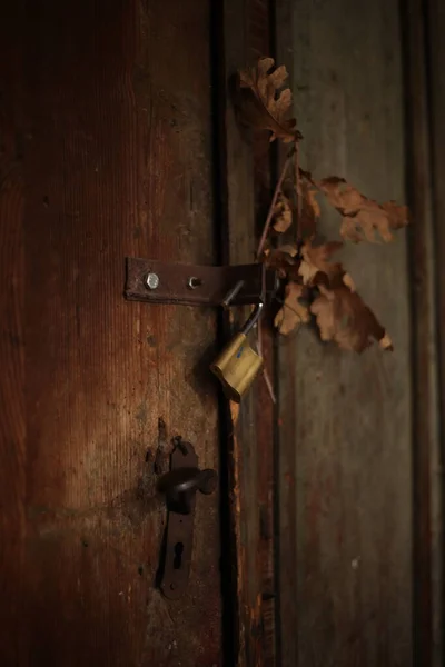 Old wooden door with unlocked padlock and autumn leaves