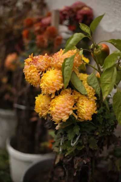 Flores Amarelas Com Pimenta Verde Mesmo Pote — Fotografia de Stock