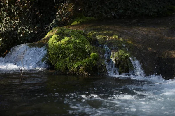 Egy Szikla Mellette Zöld Mohával Egy Kis Vízesés Víz Lefolyik — Stock Fotó