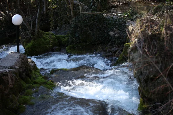 Маленький Водопад Между Скалами Деревьями Зеленые Насаждения Фонарь Слева Пейзаж — стоковое фото