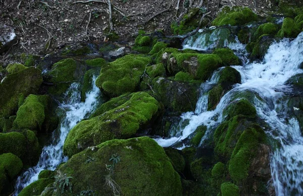Pietrele Mușchi Verde Prin Care Curge Apa Peisajul Din Natură — Fotografie, imagine de stoc