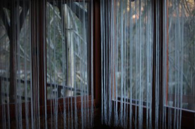 Beyaz renk perdesi çizgiler şeklinde, evin içi.