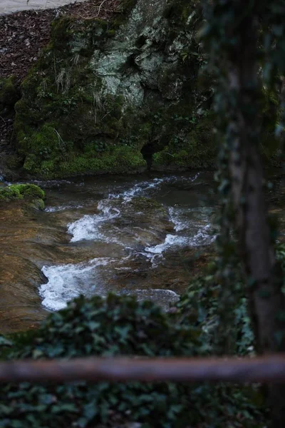 Una Vista Del Río Través Árboles Con Hojas Verdes Rocas —  Fotos de Stock