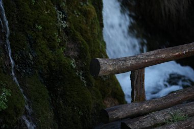 Ahşap bir çit, duvarda yeşil yosun ve bir su kaynağı, parktan manzara.