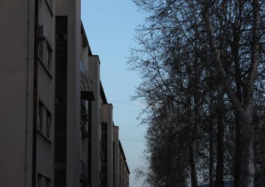 Yarı konut binaları ve yarı ağaçlar arasında mavi gökyüzü.