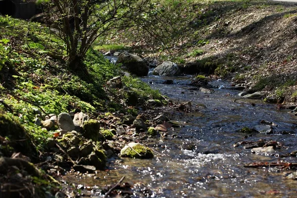 Река Прозрачной Водой Между Двумя Гребнями Камни Воде Зелень Солнечный — стоковое фото