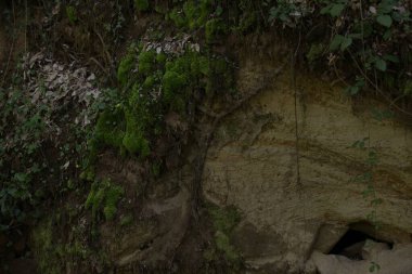 Mağaranın ön kısmı, yarı yeşil ve yarı görünür kaya.