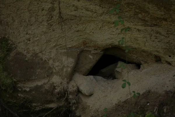 山岩上的一个洞 一株绿色的植物挂在下面 — 图库照片