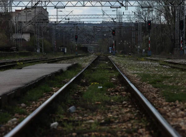 Paisagem Ferrovia Entre Trilhas Grama Verde Pedras Semáforos — Fotografia de Stock