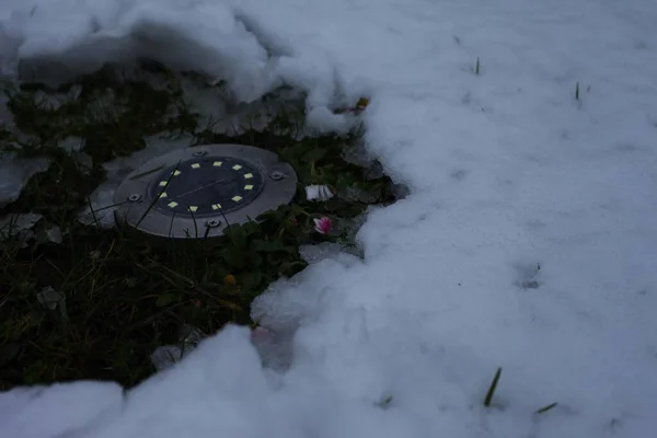 A flower between a solar lamp and snow
