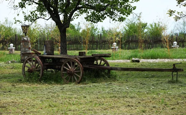 Old Wooden Carriage Grass — Stock Photo, Image