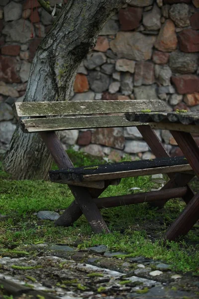 公園内の木のベンチとテーブル 石造りの家と背景の木 — ストック写真