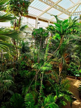 Meise, Belçika - Mart 2022 Meise 'in muhteşem 92 hektarlık botanik bahçesini ziyaret edin.