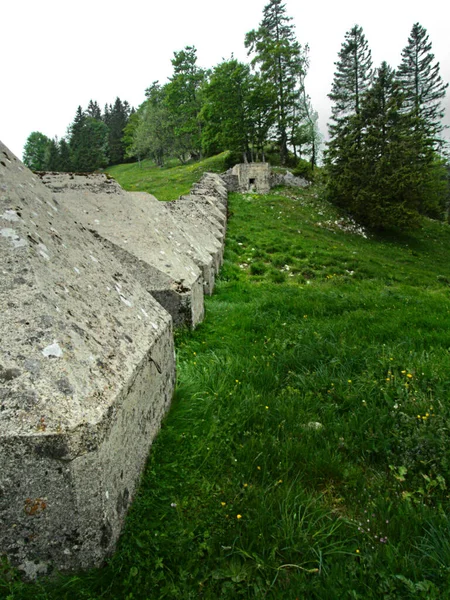 Suchet Zwitserland Mei 2022 Wandelen Naar Suchet Berg 1587 Het — Stockfoto