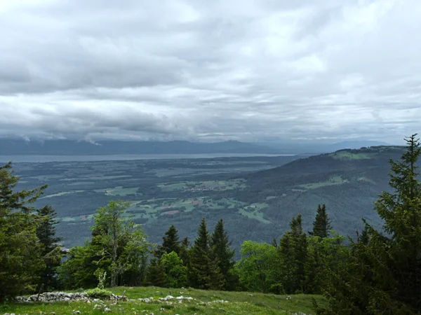Suchet Zwitserland Mei 2022 Wandelen Naar Suchet Berg 1587 Het — Stockfoto