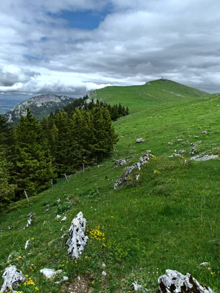 Suchet Suiza Mayo 2022 Caminata Montaña Suchet 1587 Las Montañas — Foto de Stock