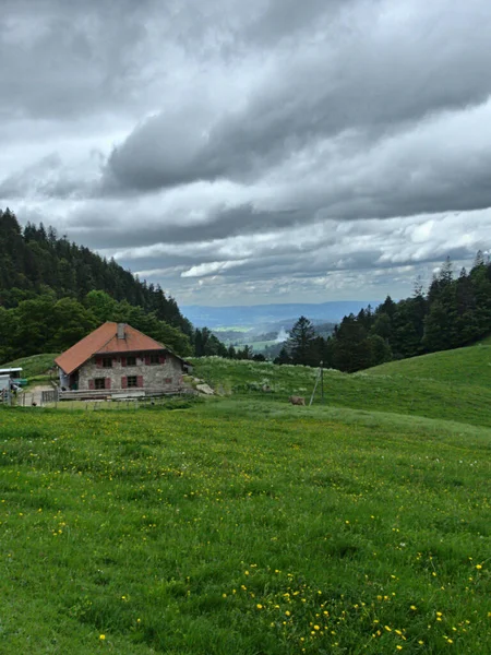 Сюше Швейцария Май 2022 Года Пешие Прогулки Горе Суше 1587 — стоковое фото
