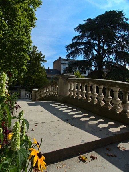 Dijon Ağustos 2022 Darcy Bahçesi Üzerinden Güzel Dijon Şehrini Ziyaret — Stok fotoğraf