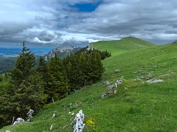 スイス シュシェ2022年5月 スイス ジュラ山脈のシュエット山 1587M へのハイキング — ストック写真
