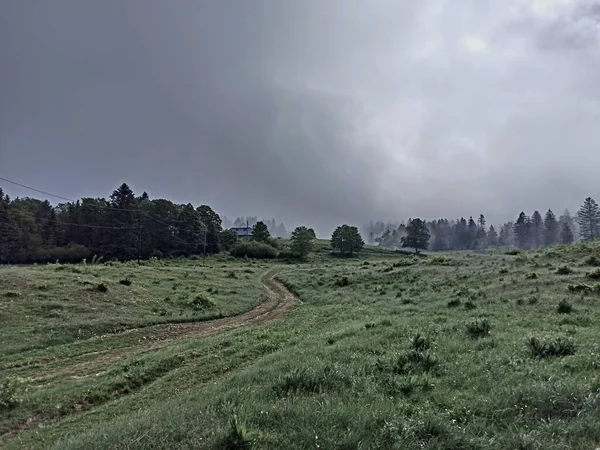 Le Suchet, İsviçre - Mayıs 2022: İsviçre Jura Dağları 'ndaki Suchet Dağı' na yürüyüş (1587 m)