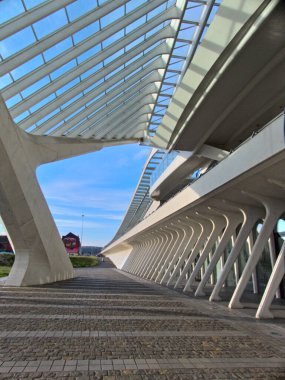 Liege, Belçika - Temmuz 2022: Güzel Liege şehrini ziyaret edin - Yanan Şehir - Tren istasyonu manzarası