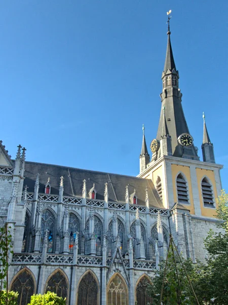 ベルギーのリエージュ 7月2022 リエージュの美しい街を訪問 バーニングシティ 大聖堂の眺め — ストック写真