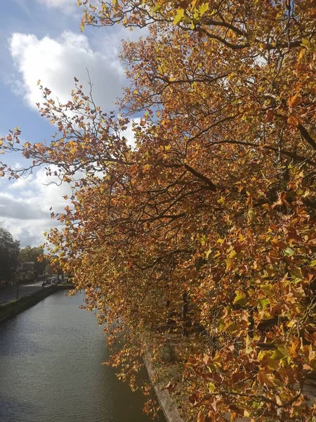 Lille Oktober 2022 Schöne Spaziergänge Lille Der Hauptstadt Flanderns Herbst — Stockfoto
