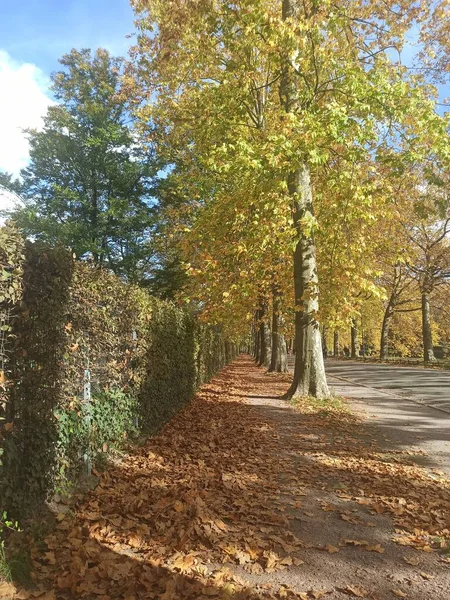 2022年10月リール 秋の間にフランダースの首都リールで美しい散歩 — ストック写真