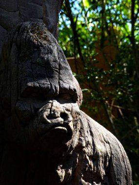 Amneville Hayvanat Bahçesi, Ağustos 2022