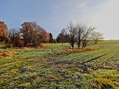 La Neuville Au Pont, Kasım 2021: La Neuville Au Pont 'daki Argonne kırsalında ve ormanında gezinmek
